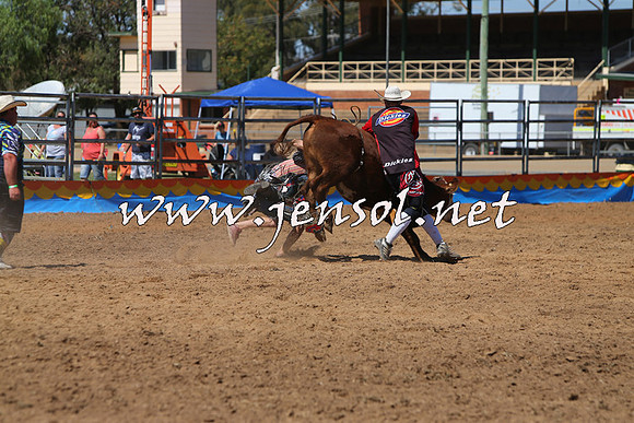 ForbesRodeo2015_0167