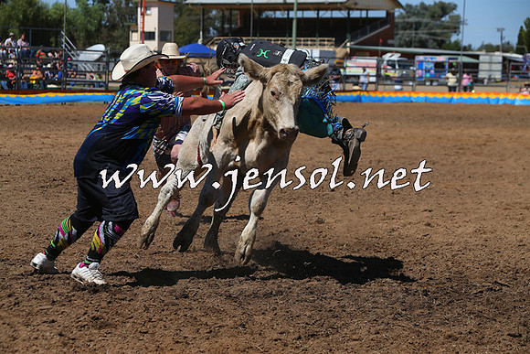 ForbesRodeo2015_0098