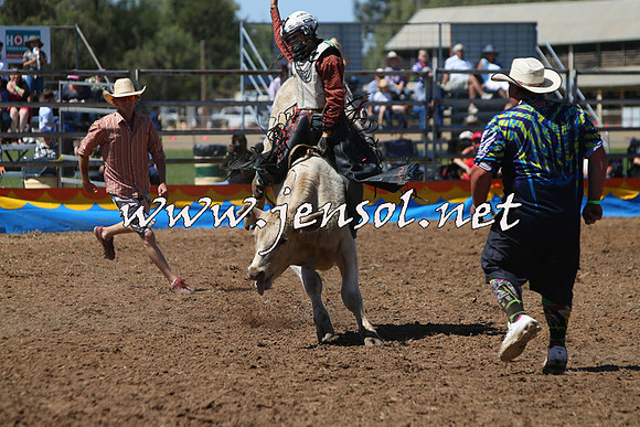 ForbesRodeo2015_0133