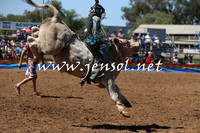 ForbesRodeo2015_0079