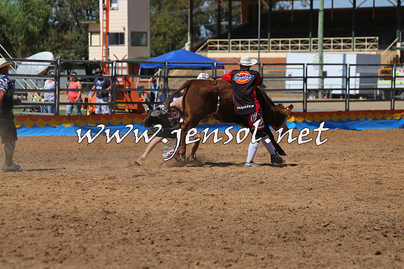 ForbesRodeo2015_0165