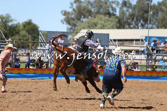 ForbesRodeo2015_0118