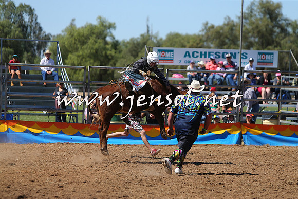 ForbesRodeo2015_0148