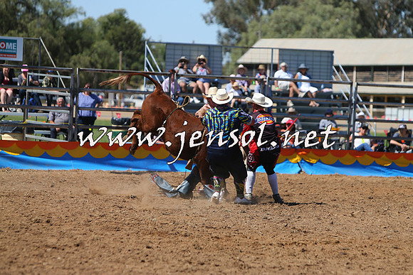 ForbesRodeo2015_0150