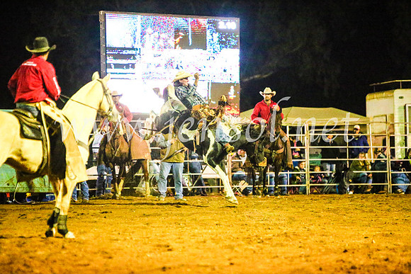TumutRodeo2017_4643