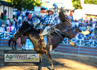 CoomaRodeo2024_0628