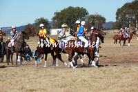 BungendorePolocrosse2013_5D_0426