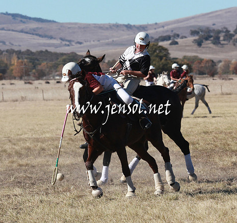 BungendorePolocrosse2013_5D_0510
