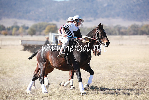 BungendorePolocrosse2013_5D_0478