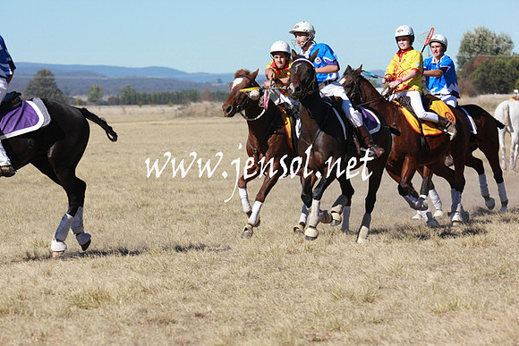 BungendorePolocrosse2013_5D_0432