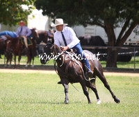 GundagaiGiddyup2013_5D_0727