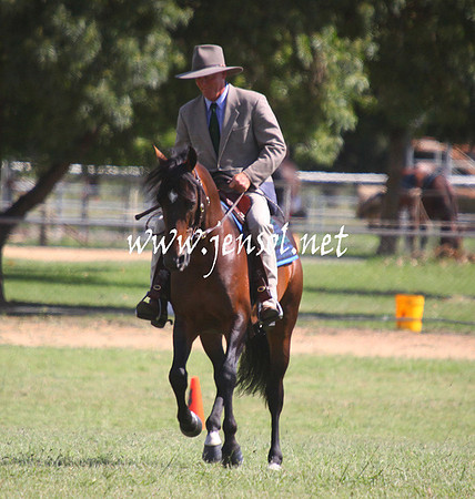 GundagaiGiddyup2013_5D_0676