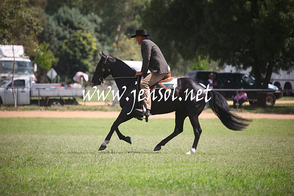 GundagaiGiddyup2013_5D_0758