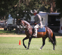 GundagaiGiddyup2013_5D_0677