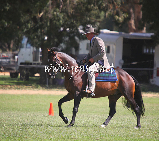 GundagaiGiddyup2013_5D_0677