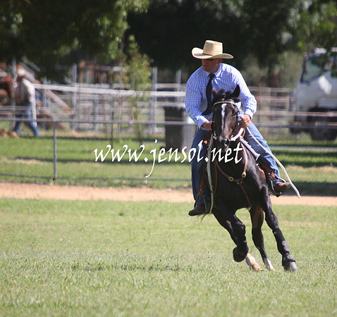 GundagaiGiddyup2013_5D_0684