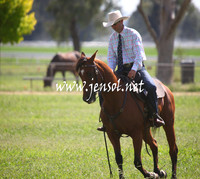 GundagaiGiddyup2013_5D_0685