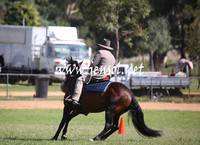 GundagaiGiddyup2013_5D_0681