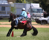 GundagaiGiddyup2013_5D_0699