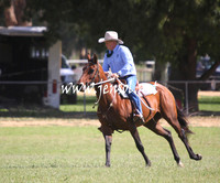 GundagaiGiddyup2013_5D_0692