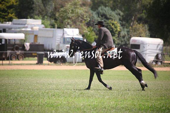 GundagaiGiddyup2013_5D_0759