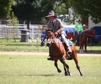 GundagaiGiddyup2013_5D_0713