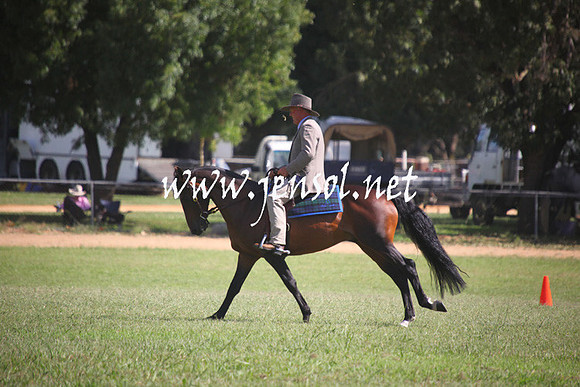 GundagaiGiddyup2013_5D_0680