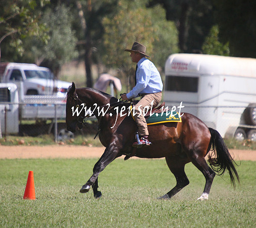 GundagaiGiddyup2013_5D_0708