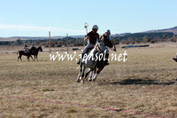 BungendorePolocrosse2013_5D_0006