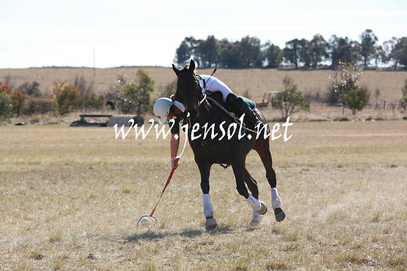 BungendorePolocrosse2013_5D_0380