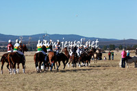 BungendorePolocrosse2013_5D_0019