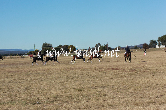 BungendorePolocrosse2013_5D_0035