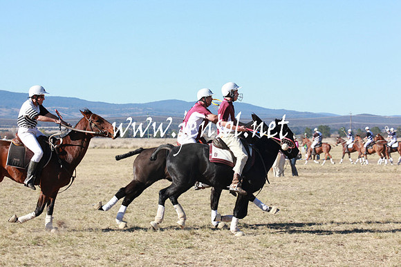 BungendorePolocrosse2013_5D_0039
