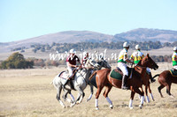 BungendorePolocrosse2013_5D_0012