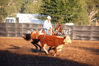 GundagaiGiddyup2013_5D_0629
