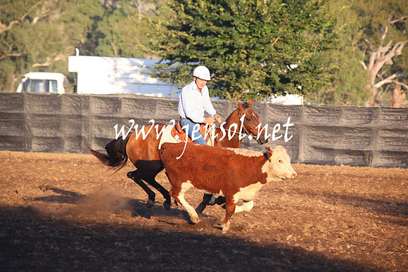 GundagaiGiddyup2013_5D_0629