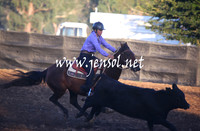 GundagaiGiddyup2013_5D_0610