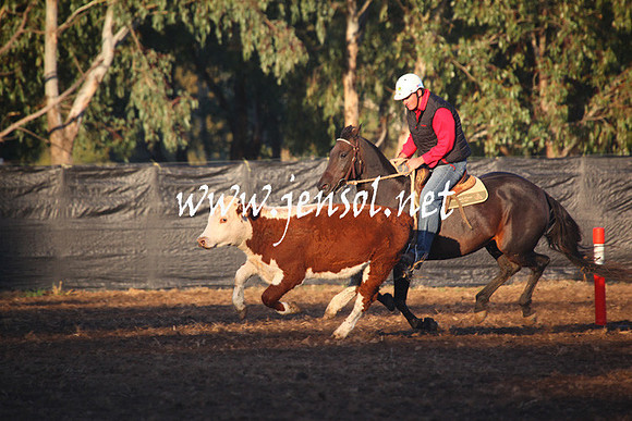 GundagaiGiddyup2013_5D_0641