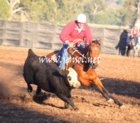 GundagaiGiddyup2013_5D_0644