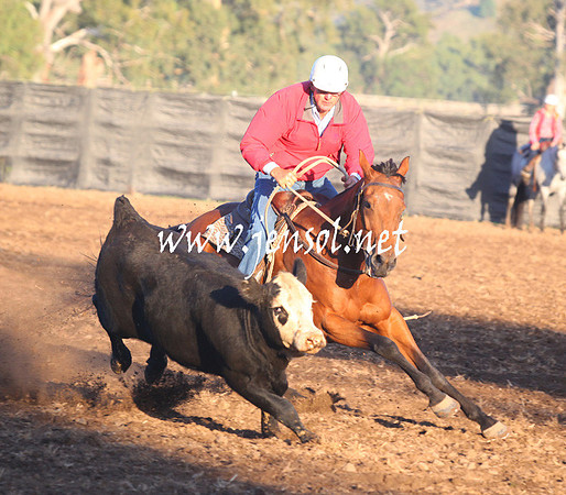 GundagaiGiddyup2013_5D_0644