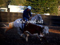 GundagaiGiddyup2013_5D_0603