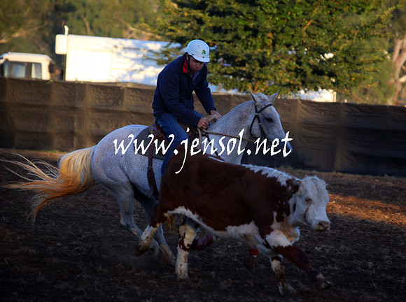 GundagaiGiddyup2013_5D_0603