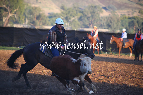 GundagaiGiddyup2013_5D_0617