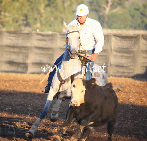 GundagaiGiddyup2013_5D_0623