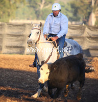 GundagaiGiddyup2013_5D_0622