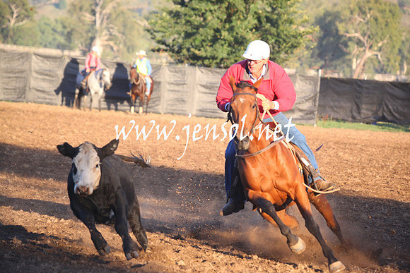 GundagaiGiddyup2013_5D_0647