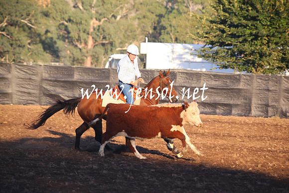 GundagaiGiddyup2013_5D_0630