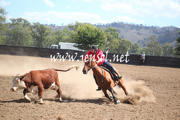 GundagaiGiddyup2013_5D_0926