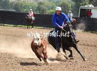 GundagaiGiddyup2013_5D_0917
