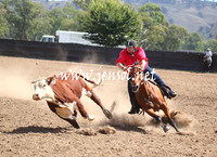 GundagaiGiddyup2013_5D_0925